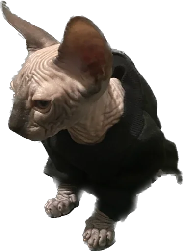 Sticker Smaaallll - 1