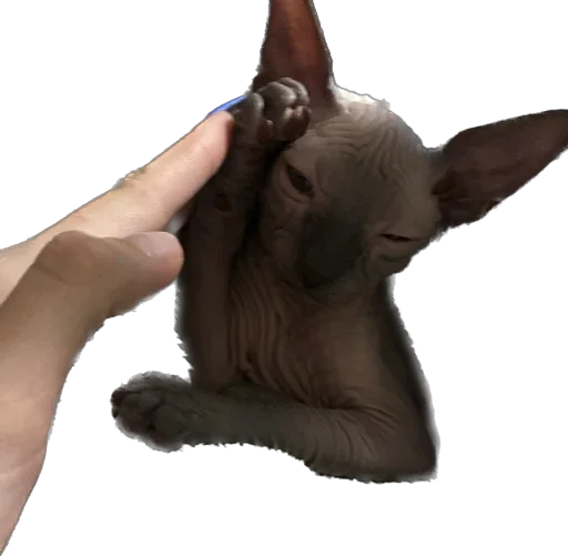 Стикер Smaaallll - 1