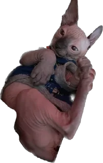 Стикер Малыши - 4