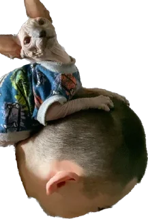 Стикер Малыши - 3