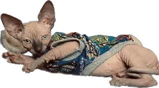 Стикер Малыши - 11