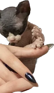 Стикер Малыши - 6