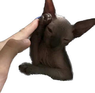 Стикер Малыши - 0