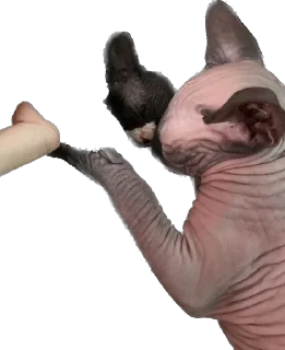 Стикер Малыши - 8