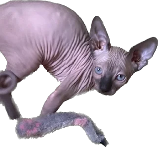 Стикер Малыши - 7