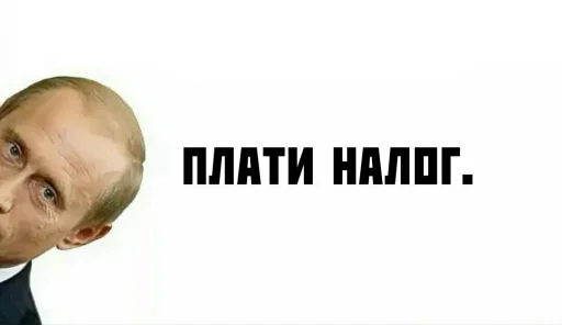 Носок в сметане - 