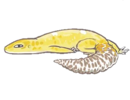 Sticker SmileGekko - 1