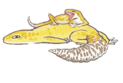Sticker SmileGekko - 1