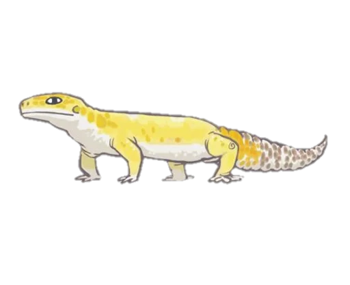 Sticker SmileGekko - 1