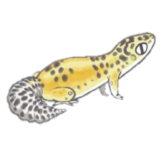 Стикер Smile Gekko - 9