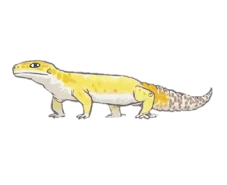 Стикер Smile Gekko - 3