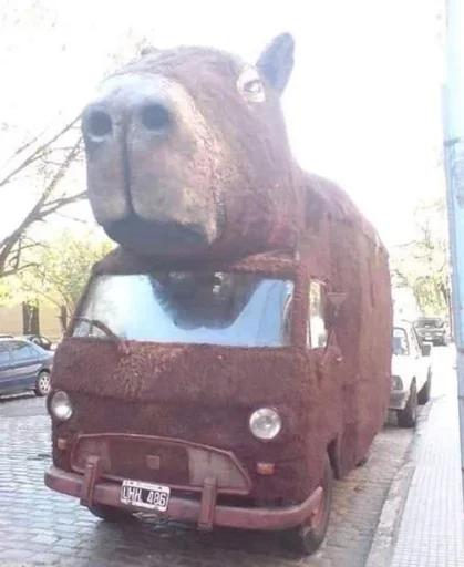 Стикер Smile_capybaraa_by_MoiStikiBot - 1