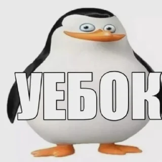 Sticker smirn pack - 11