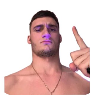 Sticker Смысл жизни - 4