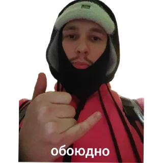 Sticker Смысл жизни - 0