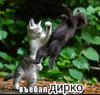 Sticker Gachu @Sticersi_bot - 3