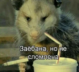 Стикер Трах-трахыч @sozdat_temki_bot - 2