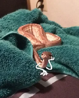 Sticker Snake Doodles - 4