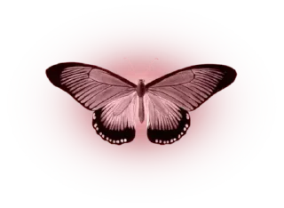 Стикер Snake poison @cutethemes - 3