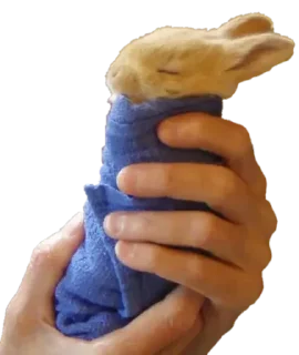 Стикер Snake poison @cutethemes - 5