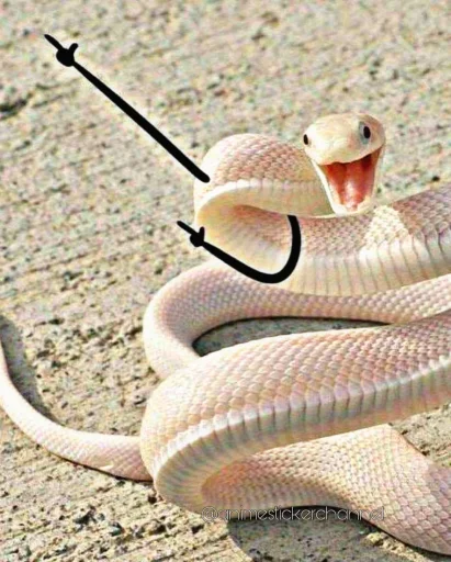 SNAKES @animestickerchannel - 