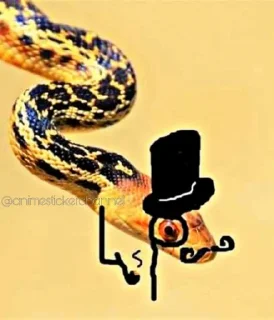Sticker SNAKES @animestickerchannel - 4