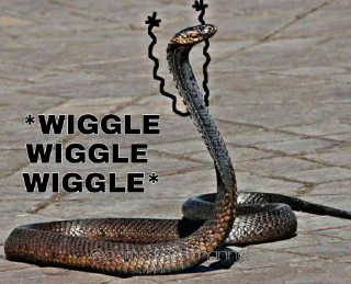 Sticker SNAKES @animestickerchannel - 3