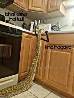 Sticker SNAKES @animestickerchannel - 2