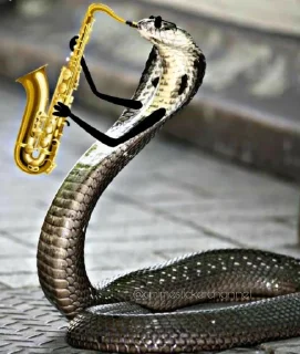 Sticker SNAKES @animestickerchannel - 5