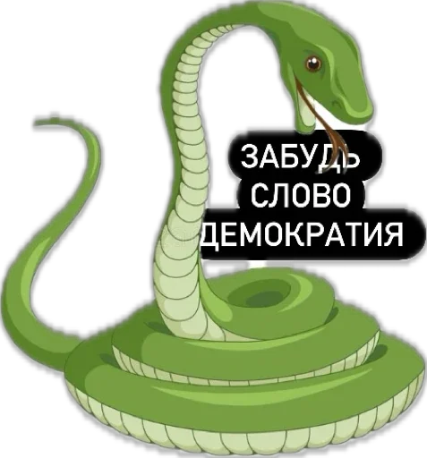 Sticker Snakes502 - 1