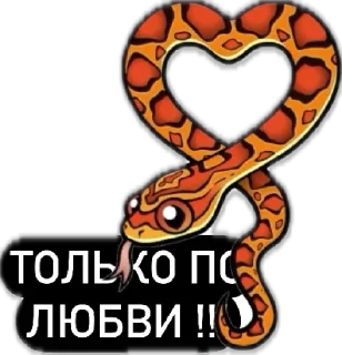 Sticker Snakes 🐍 - 5