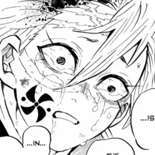 ЧихуахуаСанеми☺🥹 - 