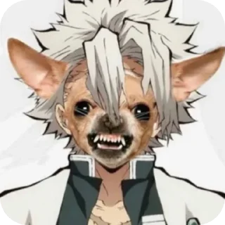 Стикер ЧихуахуаСанеми☺🥹 - 4