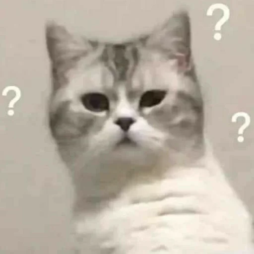 Sticker мои любимые стикеры :: @fStikBot - 0