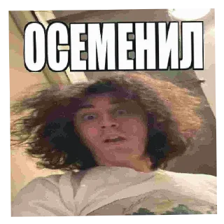 Стикер Аппликація Леонида ​Богдановъ​ - 8