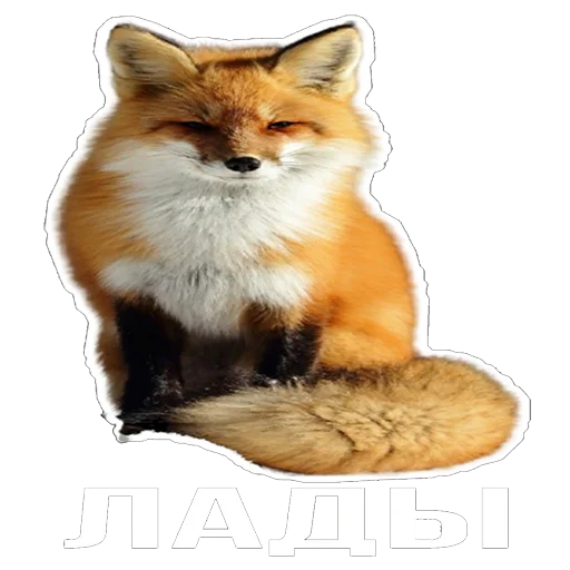 Sticker Snus_and_fox - 1