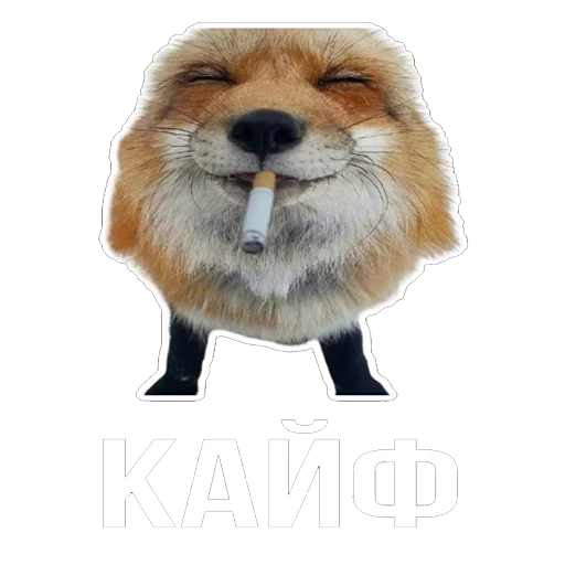 Sticker Snus_and_fox - 1