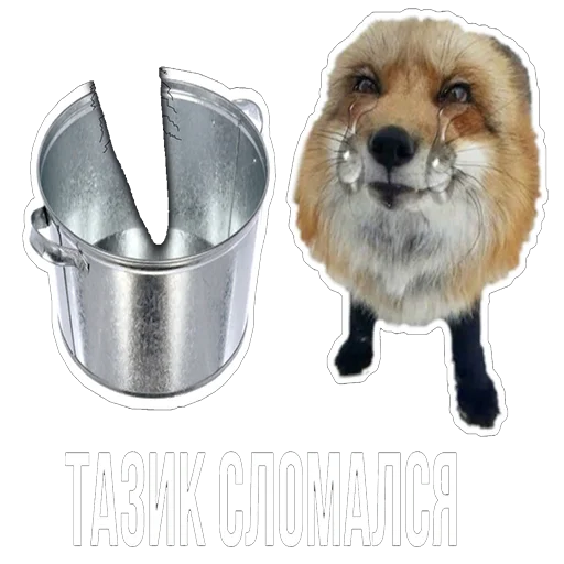 Sticker Snus_and_fox - 1