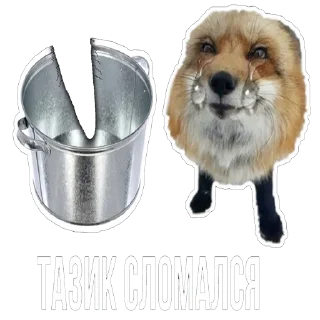 Стикер Лисички - 7