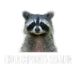 Стикер Лисички - 11