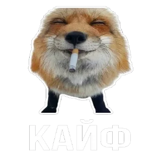 Стикер Лисички - 8