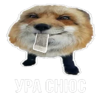 Стикер Лисички - 0