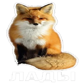 Стикер Лисички - 9