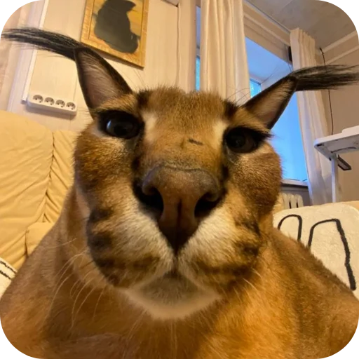 Sticker Snusliand - 1