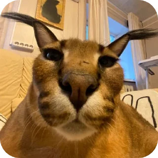 Sticker Снюсляндия (by Usumarak) - 6