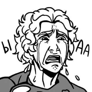 Sticker SoCHZ ANPR - 1