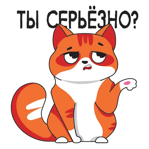 Стикер SoFunny_Cat - 1