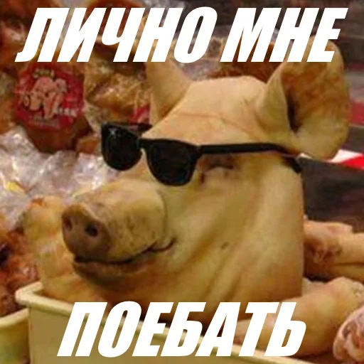 Sticker SoHotStickerPack - 1