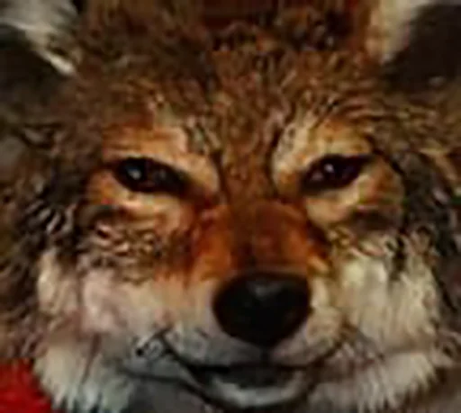 Sticker SoHotStickerPack - 1