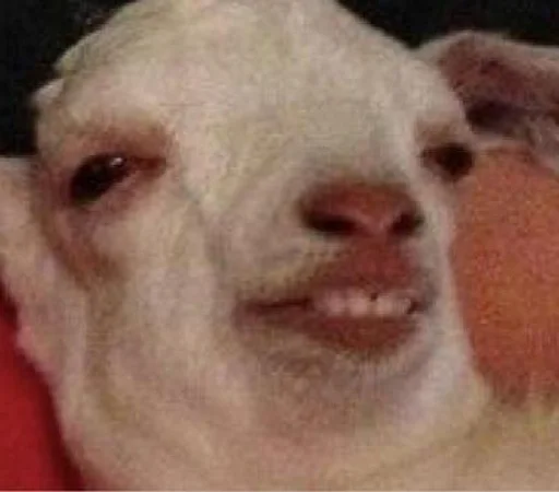 SALOMON17 by @fStikBot - cartoon